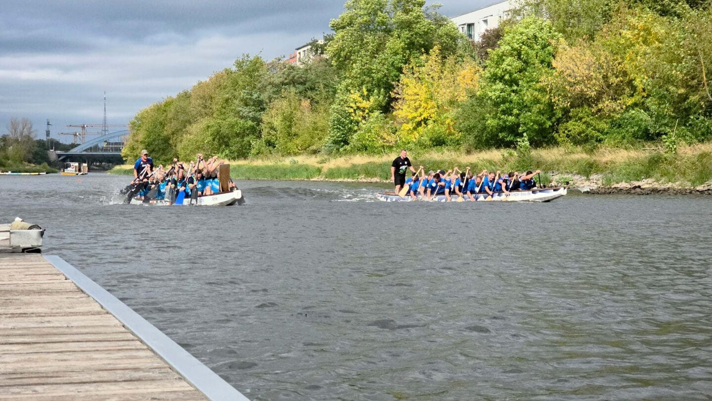 Zwei große weiße Boot mit mehreren Menschen in blauen Trikots die auf einem Fluss angestrengt paddeln.