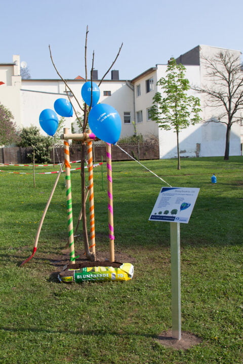 Ein Schild mit einem blauen Ballon. Im HIntergrund Bäume mit weiteren blauen Ballons. ©Anja Jänichen