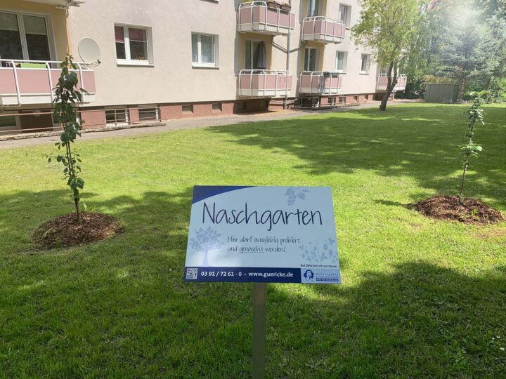 Schild mit der Aufschrift Naschgarten auf einer Wiese mit zwei kleinen Obstbäumen im Hintergrund. ©Anja Jänichen