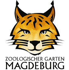 Logo Magdebuerger Zoo mit einem Luchskopf